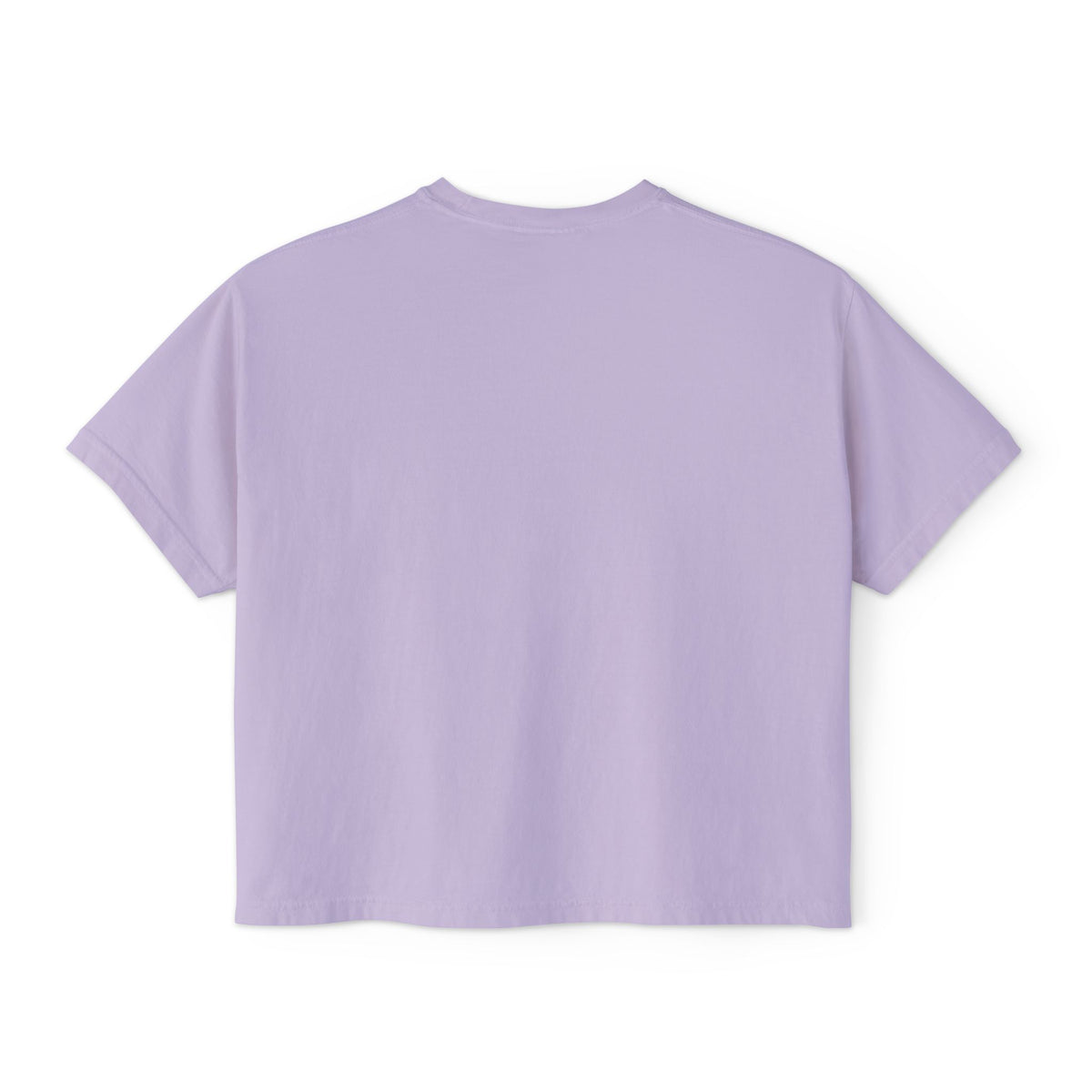 Just a Girl Who Loves Books Boxy Tee